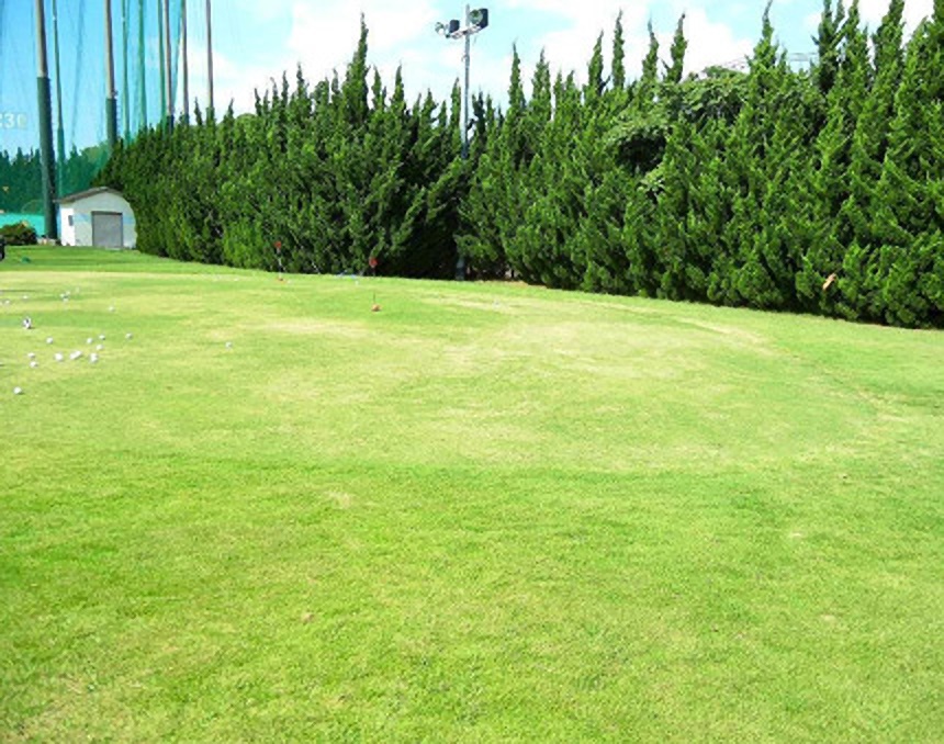「セイコウゴルフガーデン」アプローチグリーン01
